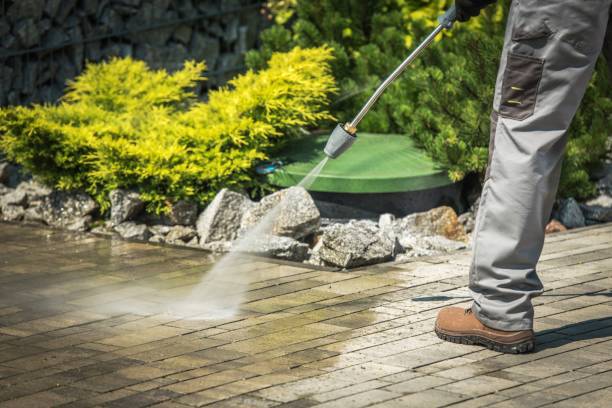 Best Dumpster Area Cleaning  in Enterprise, NV